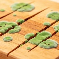 妙招｜砧板发霉别用洗洁精，撒把盐挤半个柠檬，比新买的还干净