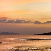 2026高品质蚕丝被标杆：鑫缘双宫桑蚕长丝子母被品牌与产品解析