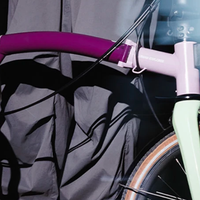 每店2台，仅需2.9万的「小布Brompton」中国限定款，到底是谁在买？