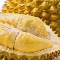 效率翻10倍！全流程实操平面设计师都喜欢的AI生图软件