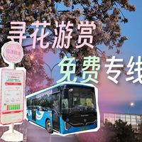 【运转纪行6·北京】春日赏花季 截团出新活——朝阳花园节免费游赏专线体验vlog