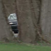 一口气看完迈锐宝的巅峰与陨落！