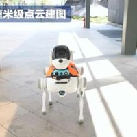 导盲机器狗亦庄路测首秀，能过马路躲避障碍，或成视障者福音