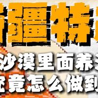 沙漠里面养海鲜，新疆怎么做到的？