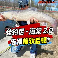 佳钓尼海棠2.0测评：等节设计与轻量化性能解析
