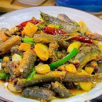 春天，少吃猪肉多吃它，比牛肉便宜，比鸡肉鲜，随手一炖，太香了