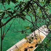 荔波小七孔古桥与山水之美