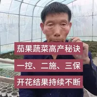 西红柿、茄子、辣椒高产管理要点：一控二施三保