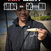EOA波爬77设计解析：水面系路亚饵的操控与场景适配