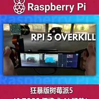 树莓派5与AI扩展板构建便携式目标检测设备实战