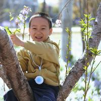 解放老母亲！这个随身AI竟可以陪娃聊天