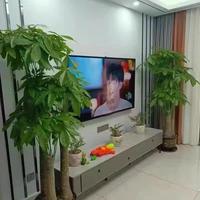 客厅植物别乱放！这样布置，高级感飙升10倍，邻居都来抄作业