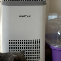 宠物空气净化器界天花板，实测百元价位的希喂宠物空气净化器