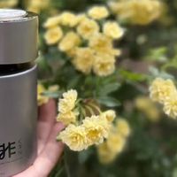 吾非泰芒青柠香薰：清新冰镇热带果饮的快乐