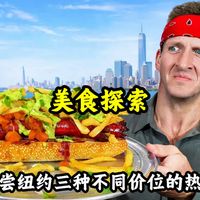 全球美食探索：挑战品尝纽约三种不同价位热狗，哪种价位最好吃