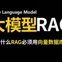 【AI大模型面试邪修】面试官：为什么RAG必须用向量数据库