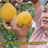 几百斤芒果木瓜忙到十点多，猫狗陪烤果干乐在其中。