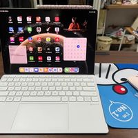 省下几千块买安卓平板？别被生态割韭菜了