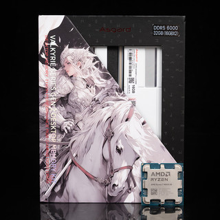 9850X3D单双通道EXPO和超频对决,阿斯加特女武神二代6000C28实测