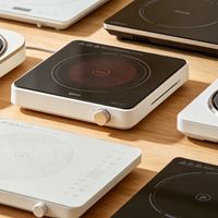 电磁炉十大公认品牌排行榜，从千元到百元品牌实测+市场口碑精选