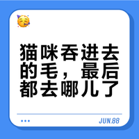 猫咪舔到肚子里的猫毛，最后能自己消化掉吗？