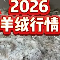 2026年羊绒原料行情分析：价格普涨与区域数据对比