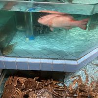 杭州美食探店 — 杭城老店（164）