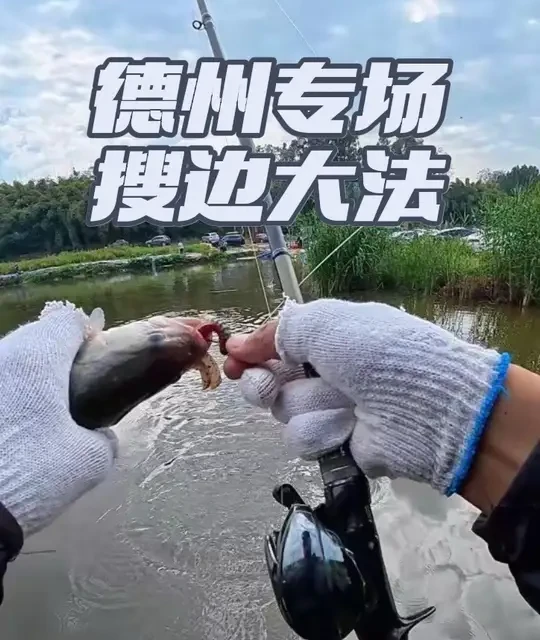 路亚黑坑实战：德州钓组应对浑水鱼情与装备评测