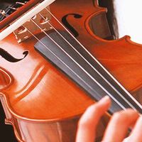 十年从业者实测｜6款高性价比小提琴推荐，新手闭眼入不踩坑