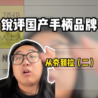 国产手柄品牌深度盘点：核心优势与市场表现综述