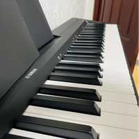5000元预算内怎么选电钢琴？这5台高性价比型号新手可以闭眼入