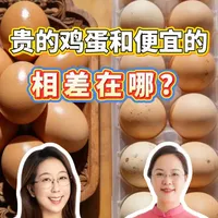价格不同的鸡蛋区别在哪？营养师解析价值差异