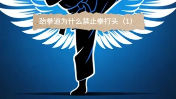 跆拳道规则演变：从实战技击到奥运竞技的拳打头禁令