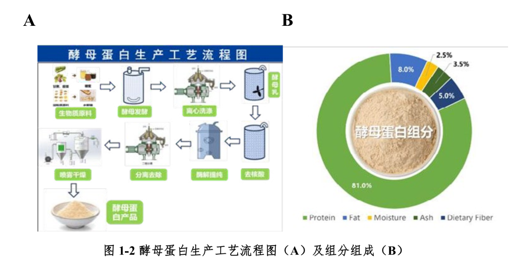 首部酵母蛋白白皮书发布,国家战略级爆款原料真的来了!