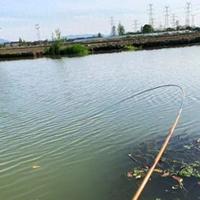 找鱼窝的7字真言：方、圆、凹、坎、坡、草、脏，记住就爆护