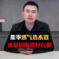 燃气热水器水量伺服器技术解析与选购指南