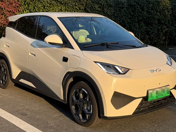 海鸥评测：实用但有短板的代步车