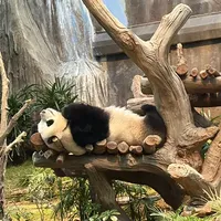 香港海洋公园看这一篇就够了(史上最详细攻