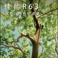 R63色彩滤镜太香了！新手直出胶片感📸