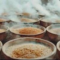 终于搞懂！为什么名酒大多用高粱酿？玉米、大米酿酒都有先天短板