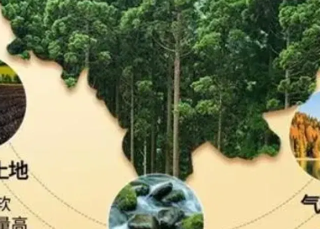 西洋参多大规格好？2026最新建议：不同人群对应不同尺寸，别买错