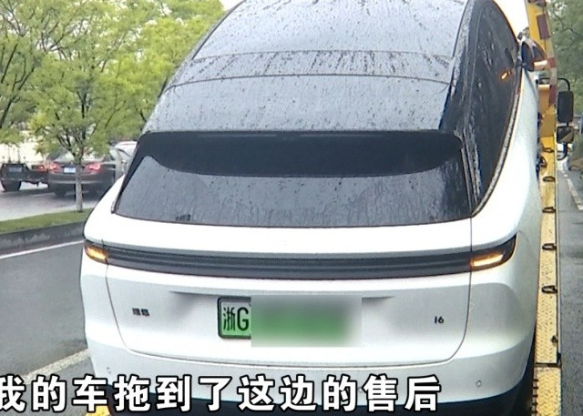 24万买理想i6不到两个月提示故障 女子：刹车完全刹不住吓得腿抖