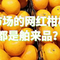 中国水果市场的网红柑橘品种竟然都是来自隔壁？且听咱的分说讲解