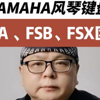 Yamaha风琴键盘FSA，FSB，FSX键盘区别