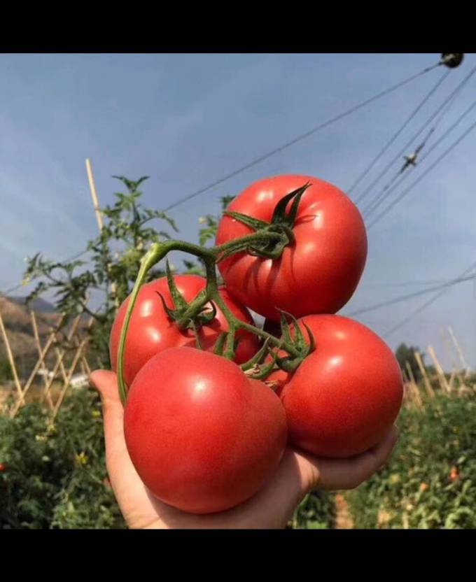 京鲜生蔬菜