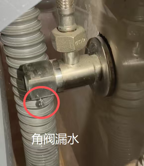 查漏报告:鉴定费很贵，赢了由楼上全额承担！