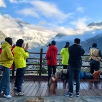 两千元三脚架连相机都撑不住？90%的人选错云台毁了整套拍摄系统