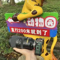 腾龙50-400试用