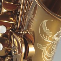 新手第一支萨克斯怎么选？一步到位少走弯路