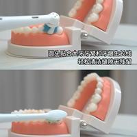 AI不能代替人类，但豆包能替人选对牙刷